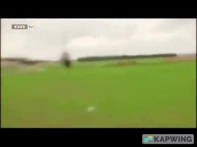 Free Bird but it's actually a bird getting freed from captivity