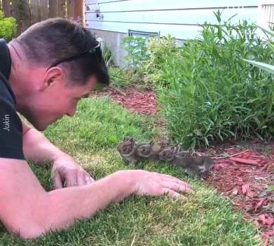 Wow, they all came to him. How adorable is that!