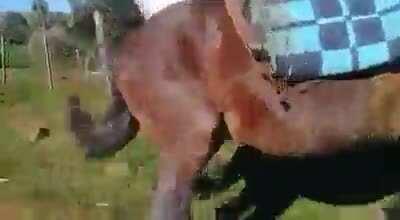 Piá do céu piá 😳😳😳