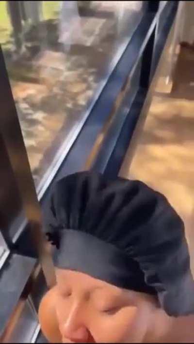 Jelsdafairy 🧚‍♀️