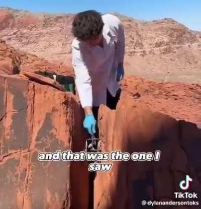 Madlad level over 9000