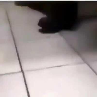 Did NOT expect that....