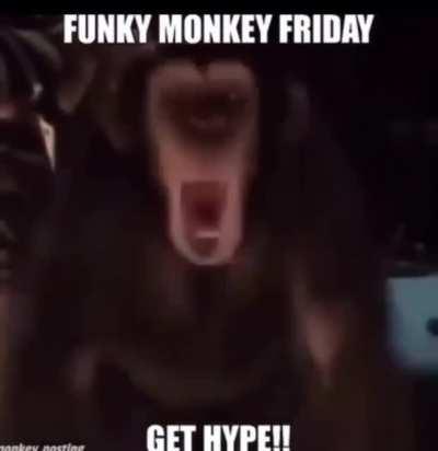 funky monkey friday LETS GOOO