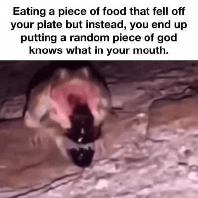 It was hard, cold and crunchy..