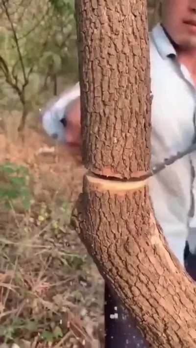 Pocket chainsaw in action