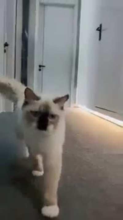 She's got the right attitude