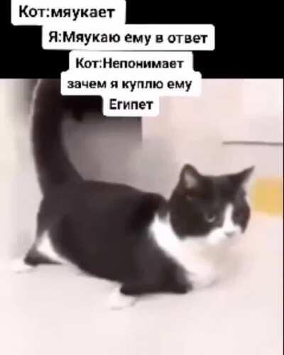 Старая история на новый лад