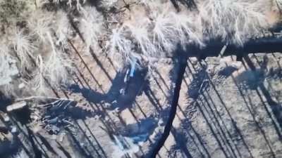 The 228th battalion is doing its job🔥