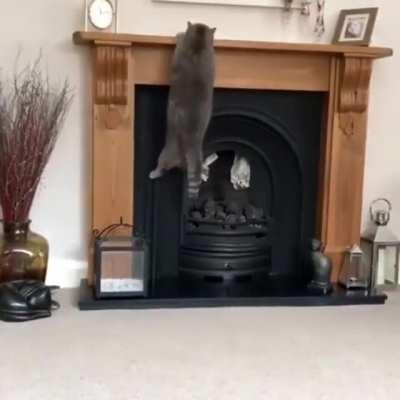 Это фиаско, братан