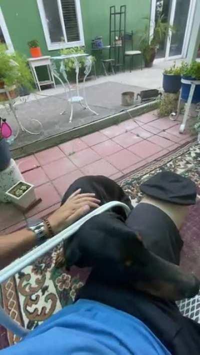 “Scuse, could you spare a scritch and/or scratch?”