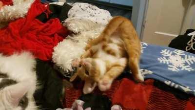 Reggie using his one brain cell to antagonize his sister