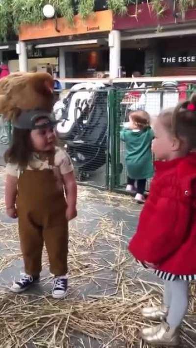 My argument is bird. Your argument is invalid.