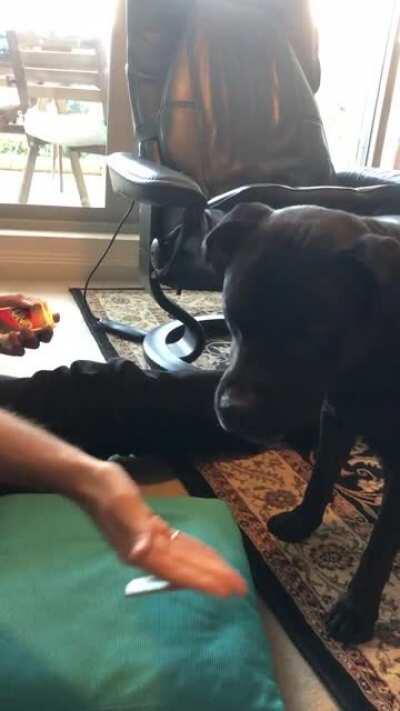 But... where did it go?