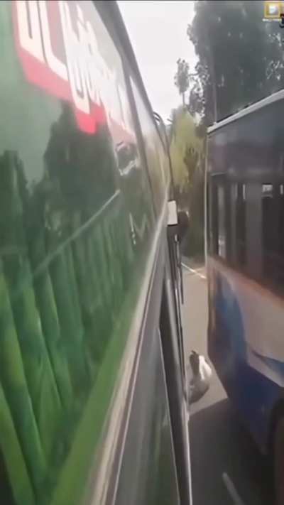 Shocking Bus cam ! Can anyone survive this ?