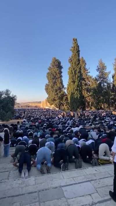 Eid al-Adha celebrations in the courtyards of Al-Aqsa Mosque