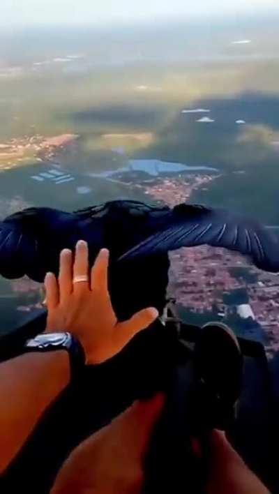 Extremely beautiful moments 