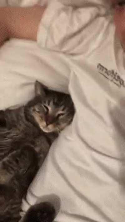 He woke up and chose violence