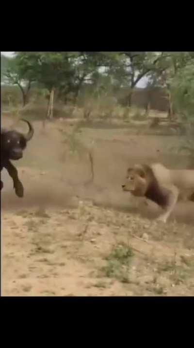 Just when it looked like the tables have turned.