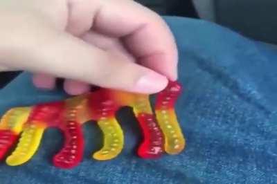Gummy elephant