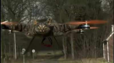 He turns his dead cat into a drone
