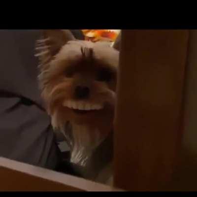 What are the chances?