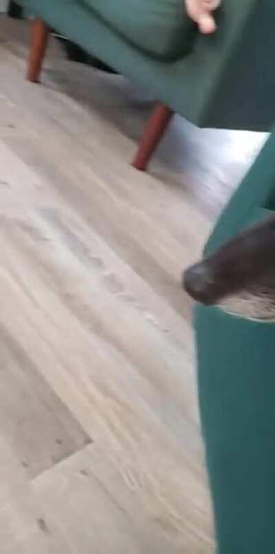 When you want the Banana but, it means getting off the sofa.