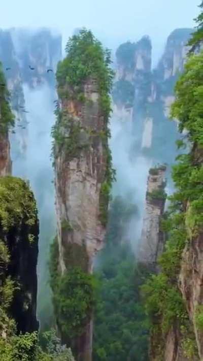 Zhangjiajie National park