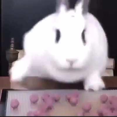 Thats one way to eat