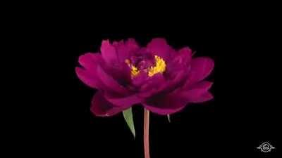 Thought this would be appreciated here.