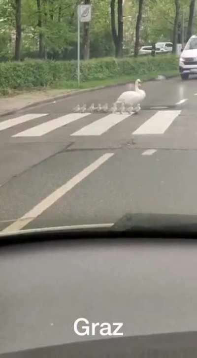 Den Kindern ein Vorbild!