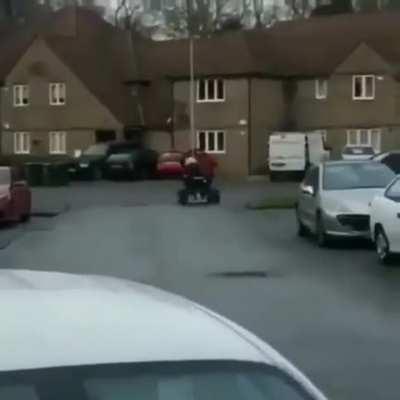 Take a ride on the wild side!