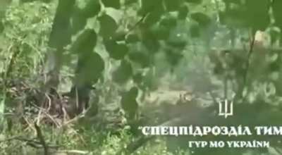 Very close distance ambush on two unsuspecting Russians by the Ukrainian intelligence officers from the “Timur” unit while conducting reconnaissance behind enemy lines. Date unknown.