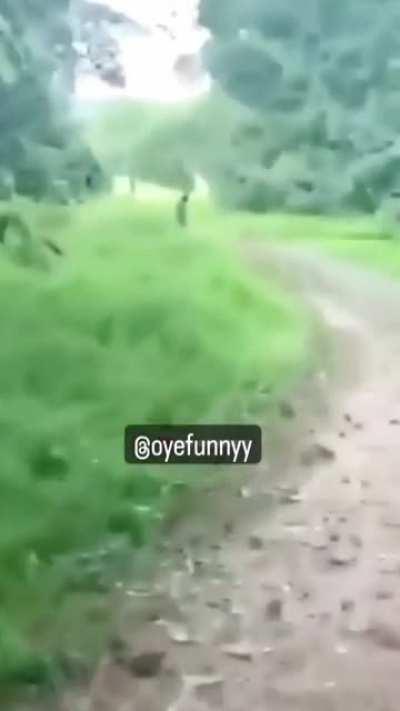 Soul-Touching video **wait for the end**