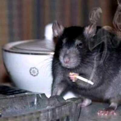 First epilepsy, rate it ☄️/💩