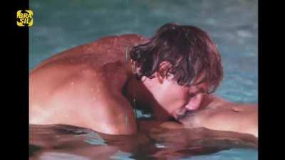 Michelle lay collection 