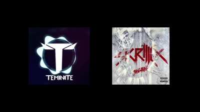 I finished this Teminite x Skrillex mashup