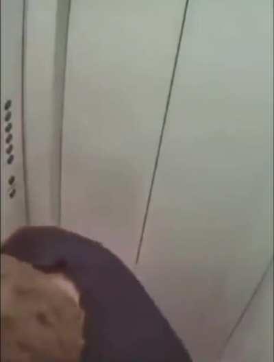 Now I know how a TV dinner feels.