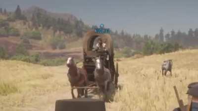 A few friends and I were towing an alligator to New Austin when this happened...