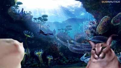 Me when my Cyclops goes boom boom [no spoilers]