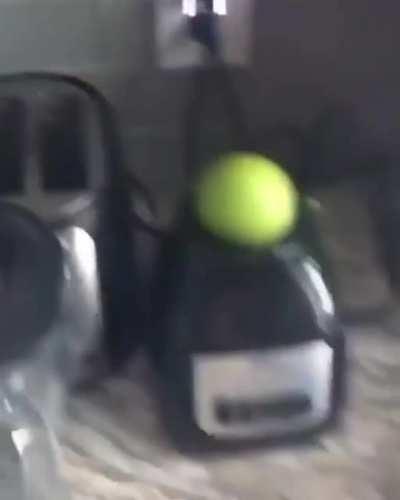 Showing off the new blender