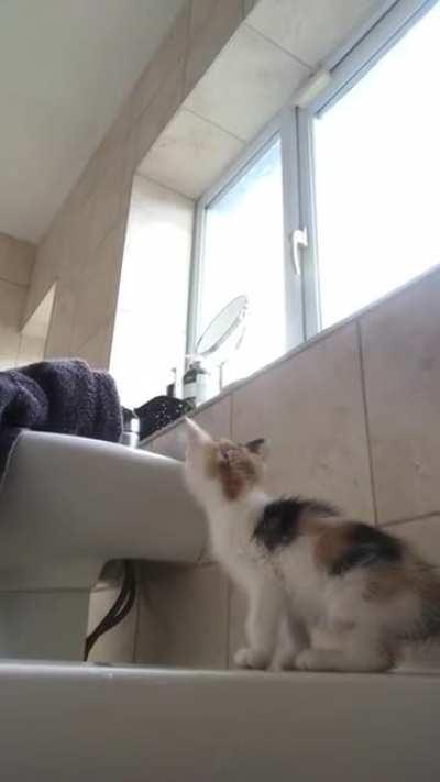 Her first big catculation...