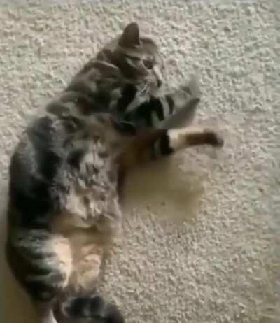 Ты знаешь что такое безумие?