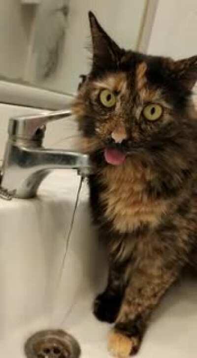 Wiggle wiggle wiggle