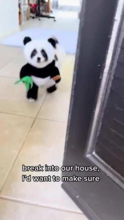 Sorry if this is too terrifying…