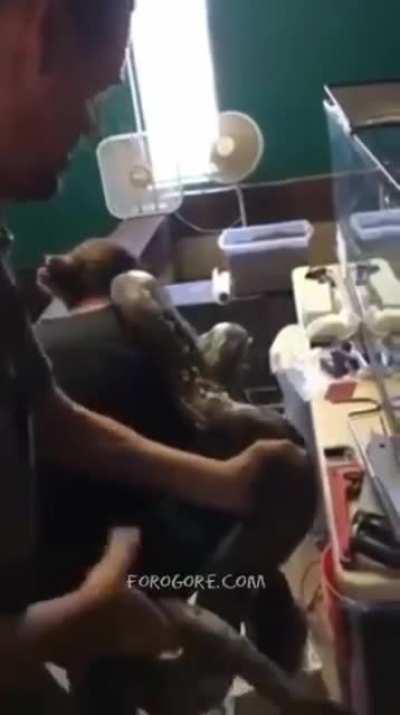 Trying to pet a massive snake