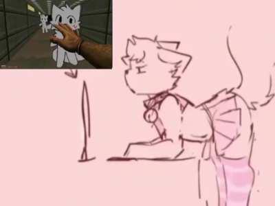 Boy's kissed                          100%