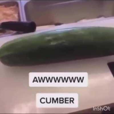 The cucumber lid cucumber lid