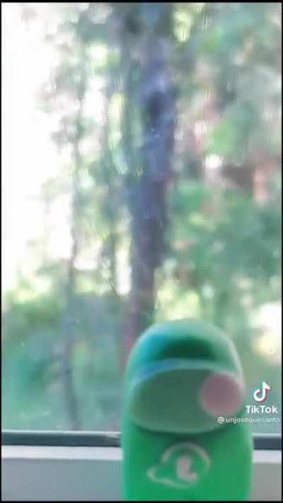 DylanteroYT - Video #8219