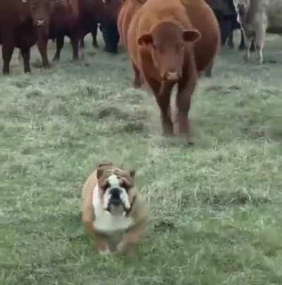 Yeah, that's what I thought.