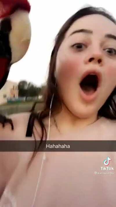 Complimenting a parrot lady gets you a parrot on your shoulder